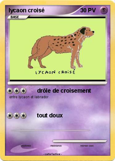 Pokemon lycaon croisé