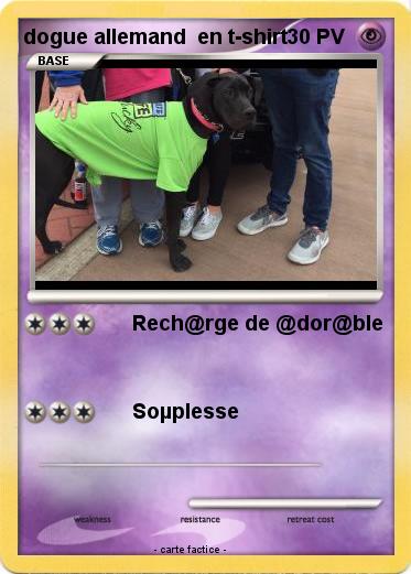 Pokemon dogue allemand  en t-shirt
