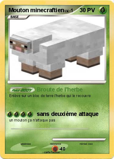 Pokemon Mouton minecraftien