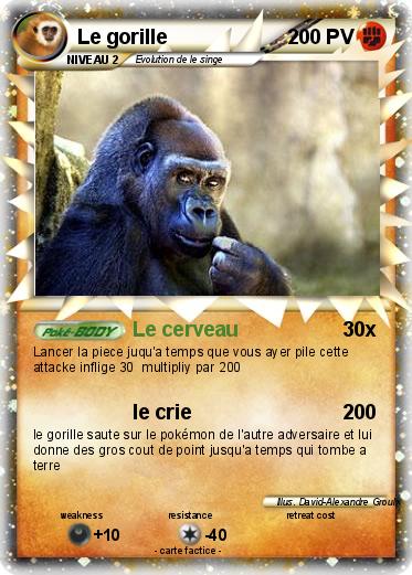 Pokemon Le gorille