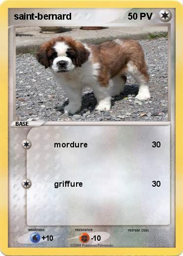 Pokemon saint-bernard