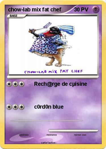Pokemon chow-lab mix fat chef