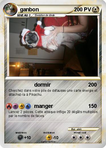 Pokemon ganbon