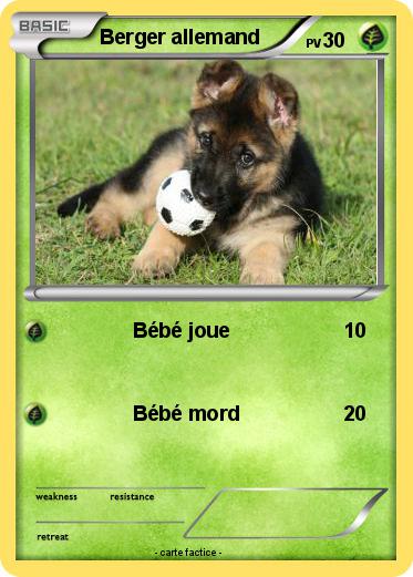 Pokemon Berger allemand