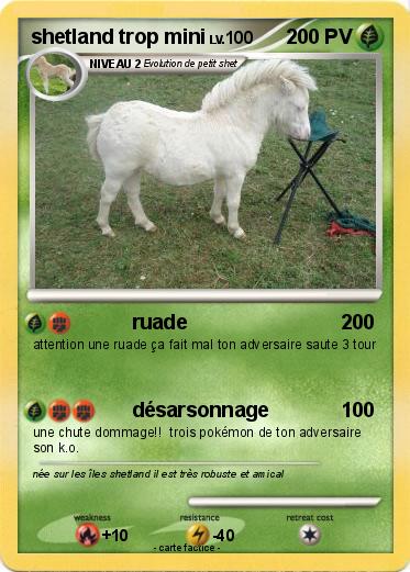 Pokemon shetland trop mini