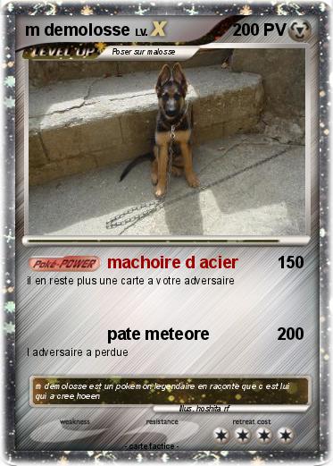 Pokemon m demolosse