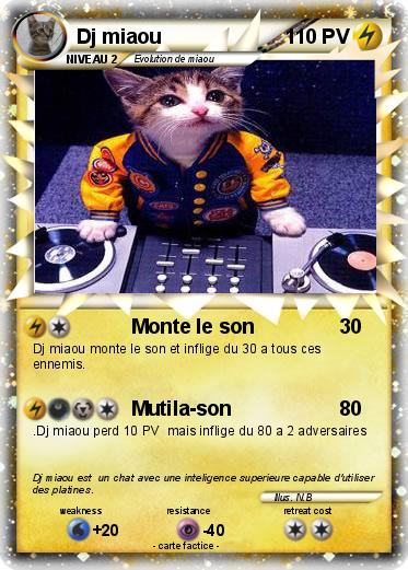 Pokemon Dj miaou
