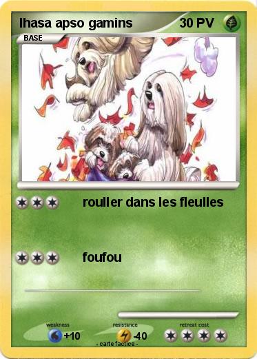 Pokemon lhasa apso gamins