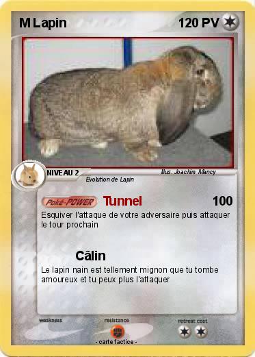 Pokemon M Lapin