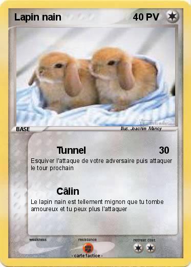Pokemon Lapin nain