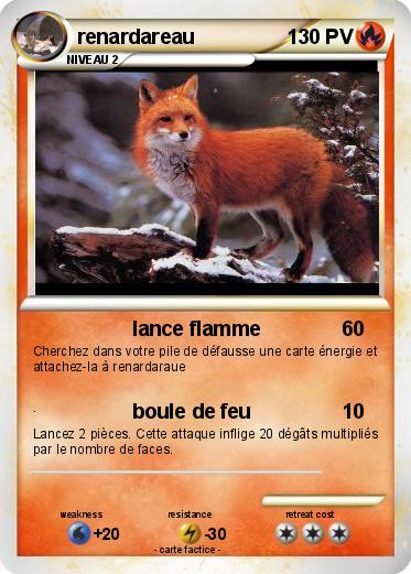 Pokemon renardareau