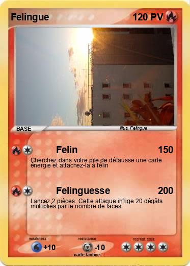Pokemon Felingue