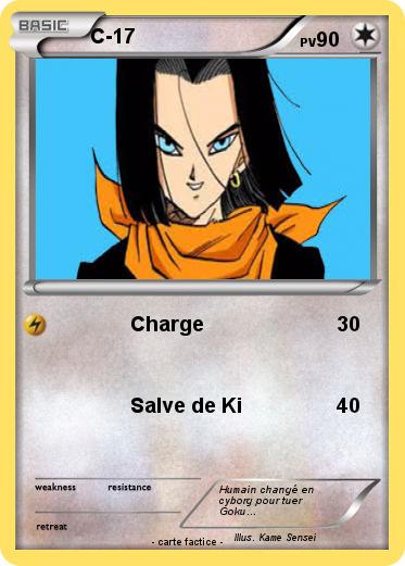 Pokemon C-17