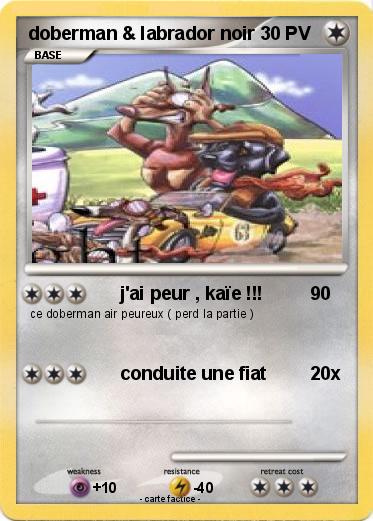 Pokemon doberman & labrador noir