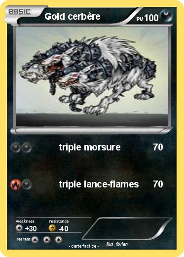 Pokemon Gold cerbère