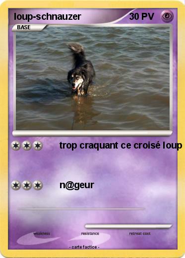 Pokemon loup-schnauzer