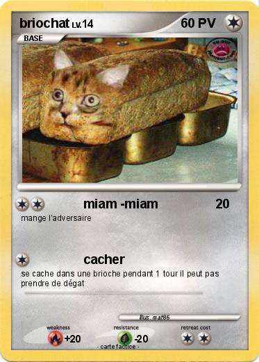 Pokemon briochat