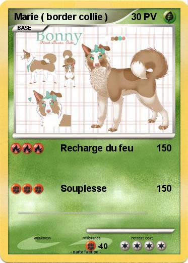 Pokemon Marie ( border collie )