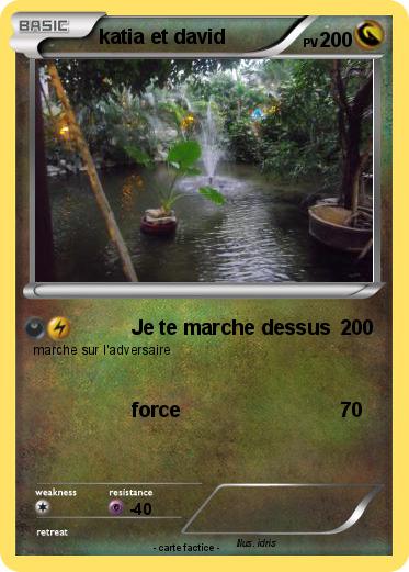 Pokemon katia et david