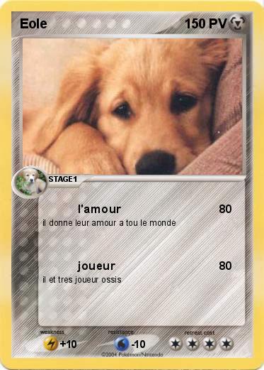 Pokemon Eole