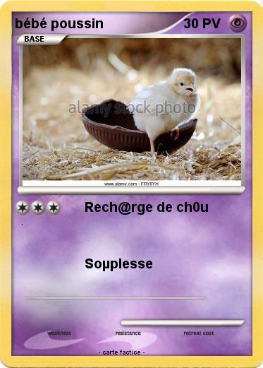 Pokemon bébé poussin