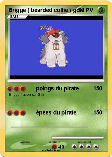 Pokemon Brigge ( bearded collie ) gdw