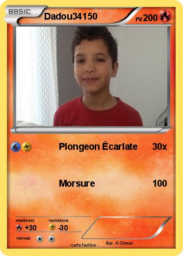 Pokemon Dadou34150