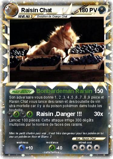 Pokemon Raisin Chat