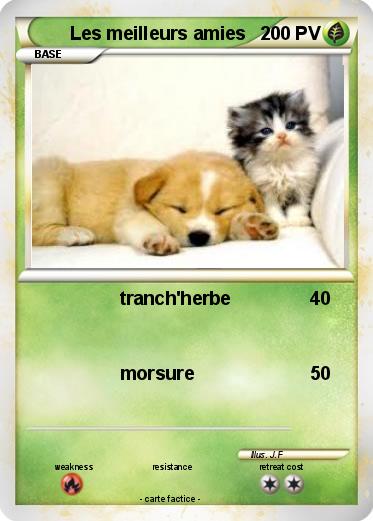 Pokemon Les meilleurs amies