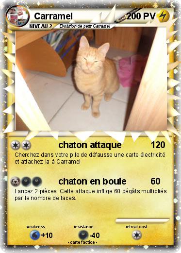 Pokemon Carramel
