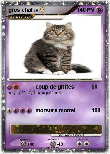 Pokemon gros chat