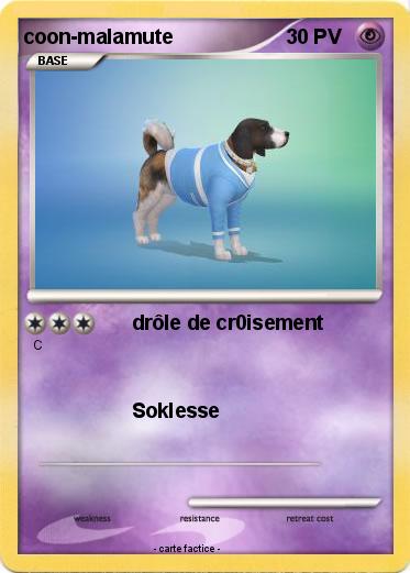 Pokemon coon-malamute