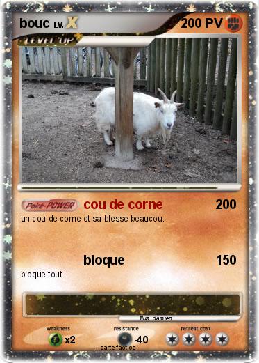 Pokemon bouc