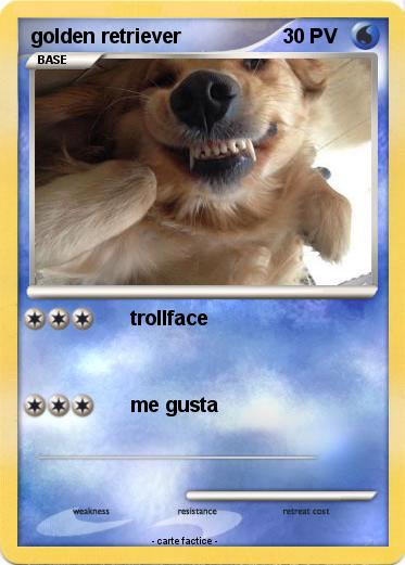 Pokemon golden retriever