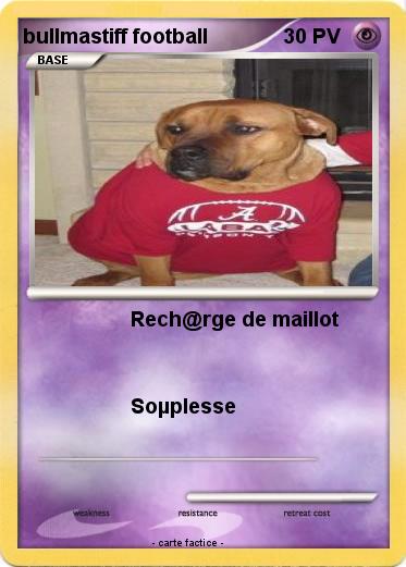 Pokemon bullmastiff football