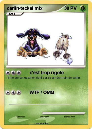 Pokemon carlin-teckel mix