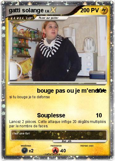 Pokemon gatti solange