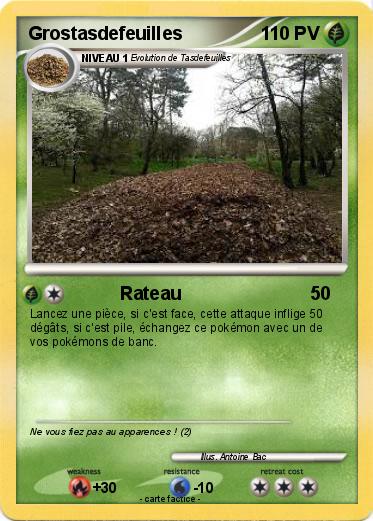 Pokemon Grostasdefeuilles