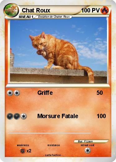 Pokemon Chat Roux