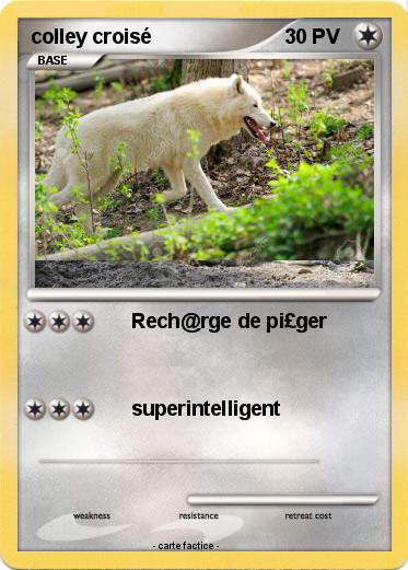 Pokemon colley croisé