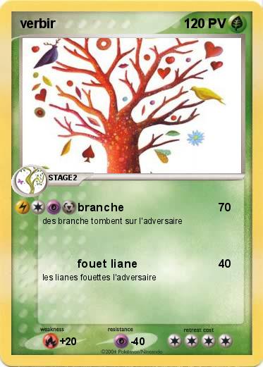 Pokemon verbir