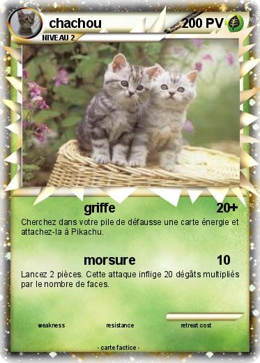 Pokemon chachou