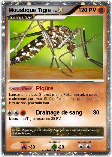 Pokemon Moustique Tigre