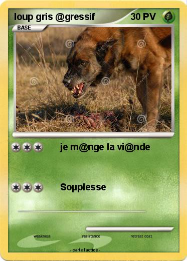 Pokemon loup gris @gressif