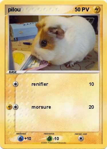 Pokemon pilou