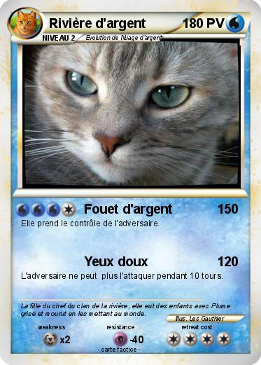 Pokemon Rivière d'argent