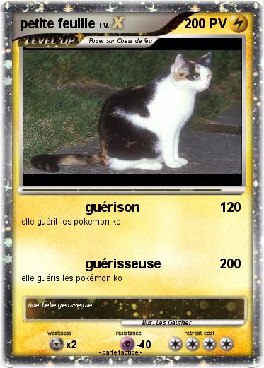 Pokemon petite feuille