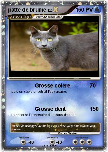 Pokemon patte de brume