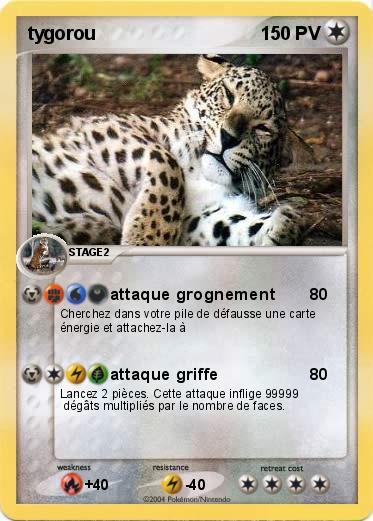 Pokemon tygorou