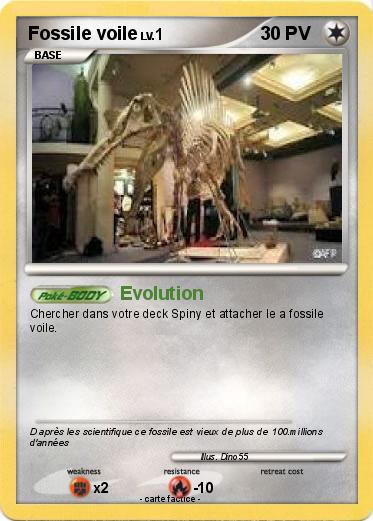 Pokemon Fossile voile